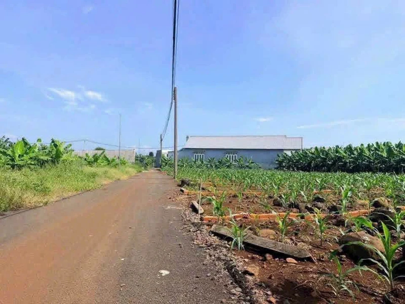 Bán đất nền thổ cư 5x20m giá 390 triệu tại Xã Bàu Hàm, Trảng Bom, Đồng Nai