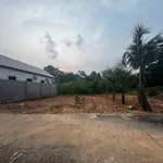 Bán đất 300m2 mặt tiền 13m Khu Phố 10 Dương Đông Phú Quốc - Ảnh thu nhỏ 3