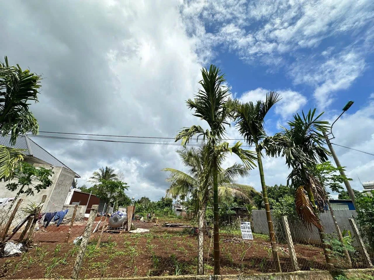 Bán đất Tân An, Buôn Ma Thuột 60m² - 1,35 tỷ - Ảnh thu nhỏ 4
