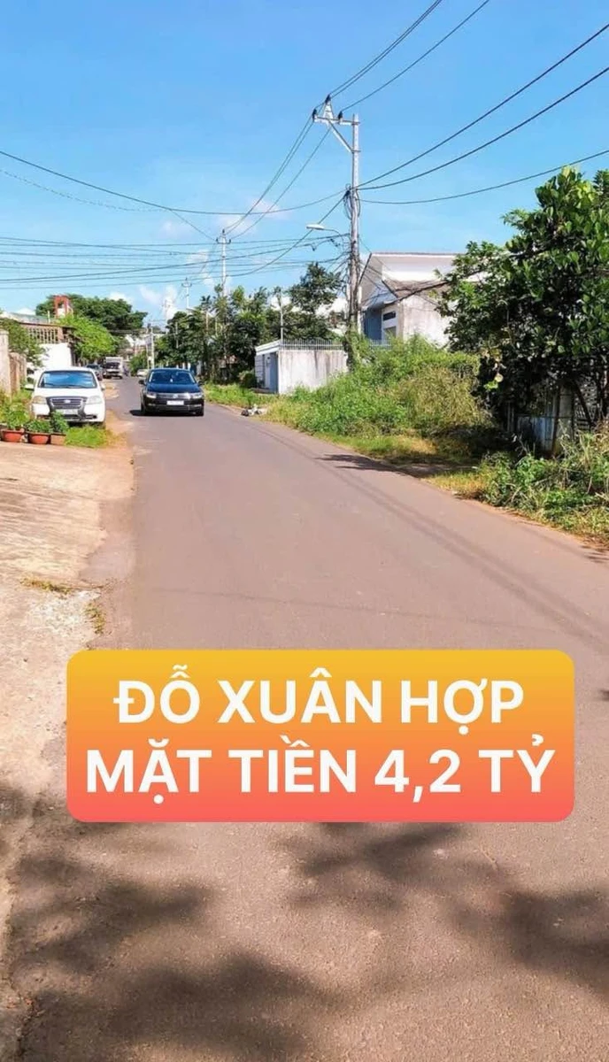 Bán đất mặt tiền Đỗ Xuân Hợp 120m2 giá 4,2 tỷ Tân Lợi - Ảnh 1