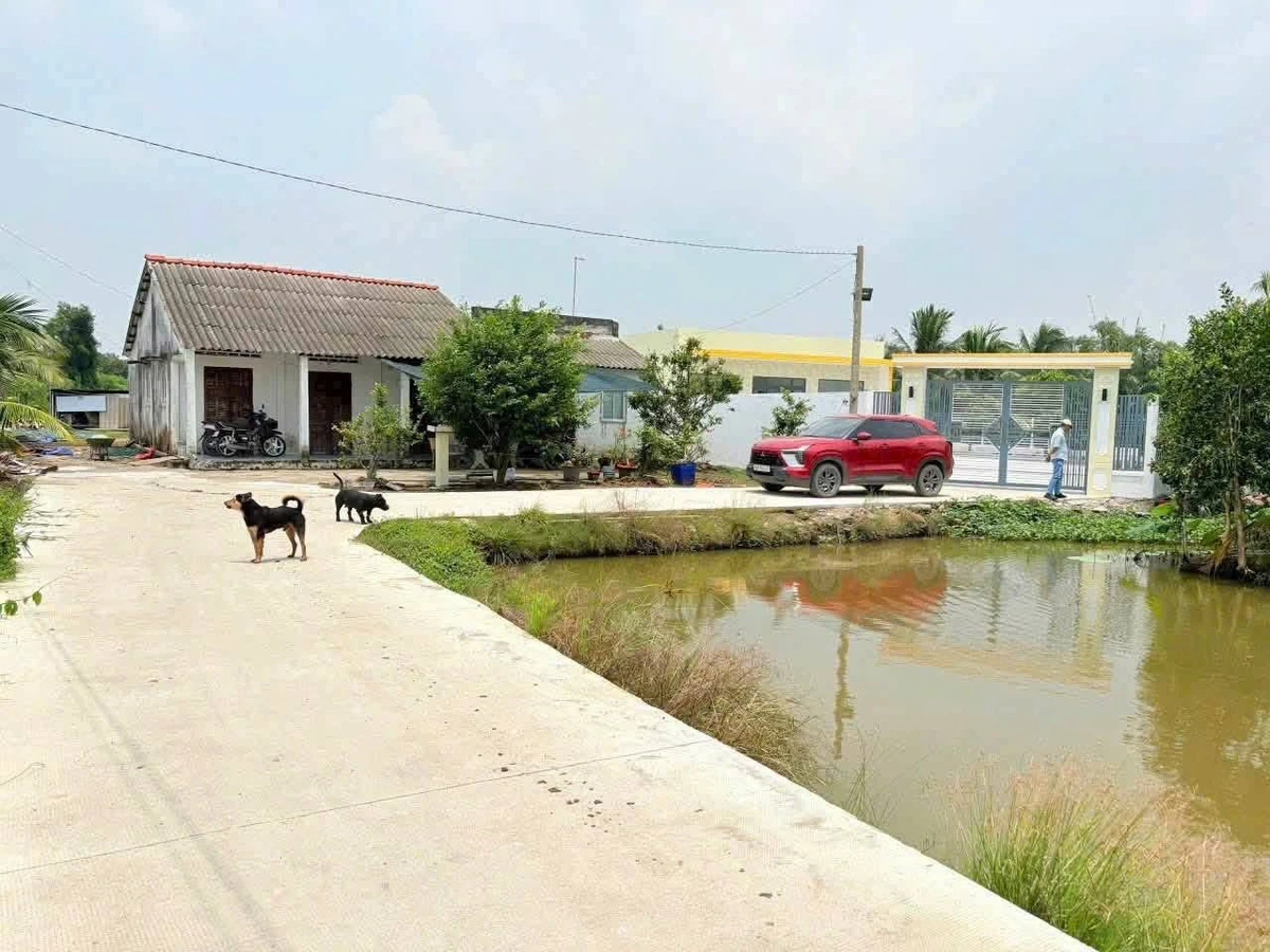 Bán nhà vườn 1068m² Bến Lức Long An, 3PN, sổ hồng - Ảnh thu nhỏ 2