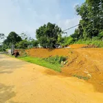 Bán đất 358m² view cánh đồng Kim Bôi Hòa Bình - Ảnh thu nhỏ 2