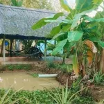 Bán nhà vườn An Điền 1.411m2, giá 4,5 tỷ - Ảnh thu nhỏ 4
