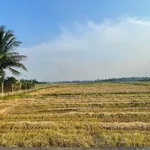 Bán đất 600m² Hoà Phú Hoà Vang 1 tỷ 5 - Ảnh thu nhỏ 2