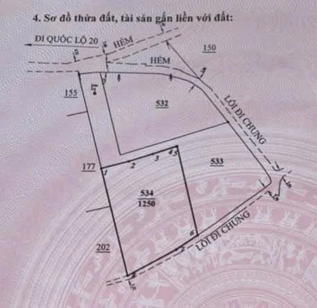 Bán đất 430m2 view săn mây Đà Lạt - Ảnh 1