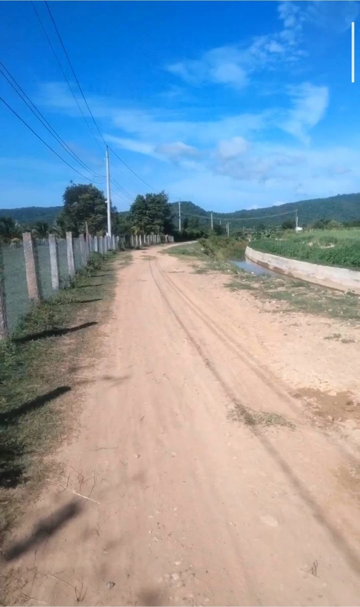 Bán 6.000m² đất Thuận Hòa Hàm Thuận Bắc 1,1 tỷ - Ảnh 1