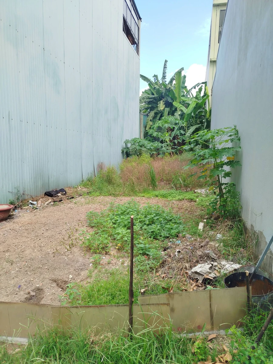 Bán đất 100m² mặt tiền 5.5m Khuê Trung Cẩm Lệ nhỉnh 5 tỷ - Ảnh thu nhỏ 2