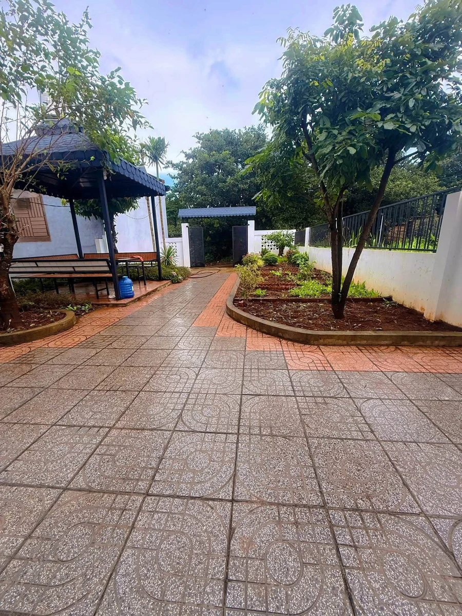 Bán nhà vườn 3PN 189m² Trần Nhân Tông Quận 11 có hồ bơi - Ảnh thu nhỏ 3