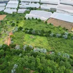 Bán đất view săn mây Lạc Dương 534m² - 2 tỷ 3 - Ảnh thu nhỏ 2