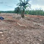 Bán đất 4025,5m2 tại Ấp 2, xã Hòa Hội, Xuyên Mộc, thổ cư 80m2 - Ảnh thu nhỏ 1