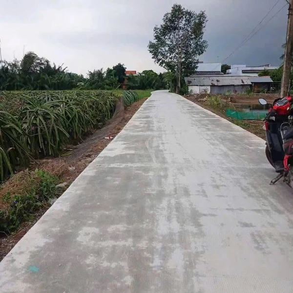 Bán đất nông nghiệp 1.000m² Thuận Mỹ, Long An