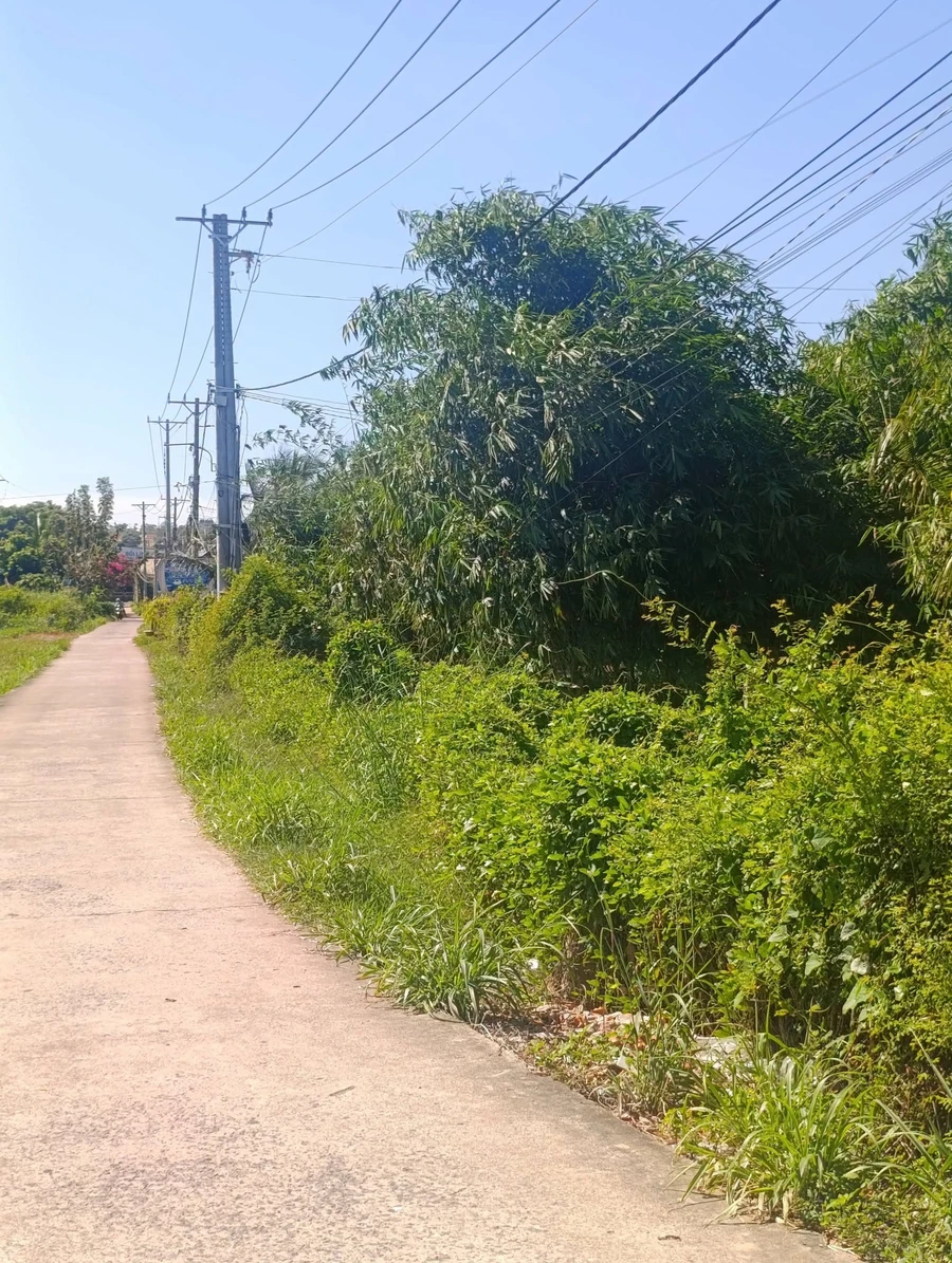 Bán đất vườn 500m² Hàm Mỹ Bình Thuận 1,8 tỷ - Ảnh thu nhỏ 4