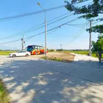 Bán đất mặt tiền Ninh Quang Khánh Hòa 150m2 460 triệu - Ảnh thu nhỏ 1