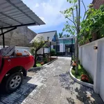 Bán nhà vườn mini 244m2, 3PN 2WC tại Xã Tầm Vu - Ảnh thu nhỏ 4