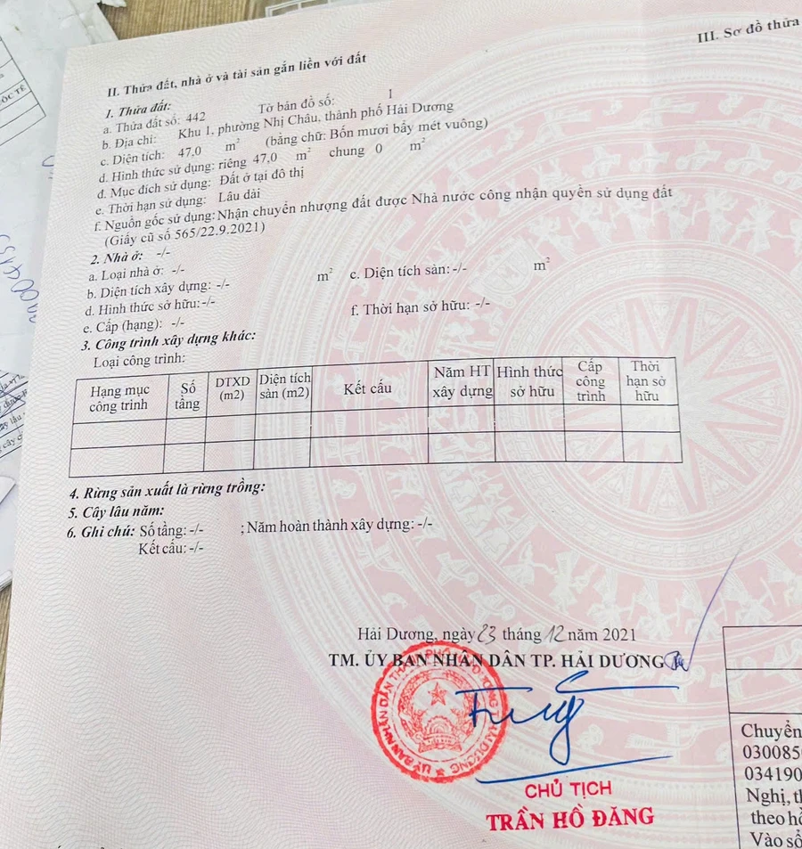 Bán đất góc 47m² Khu 1 Nhị Châu Hải Dương chỉ 8xx triệu - Ảnh thu nhỏ 2