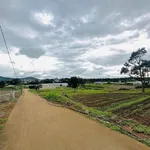Bán gấp nhà đất 151m2 có 110m2 thổ cư tại Làng Yên Bình, Nam Ban, Lâm Đồng - Ảnh thu nhỏ 1