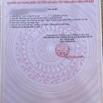 Bán đất mặt tiền Bình Nhâm 4 tỷ, 125m² Nhà Bè - Ảnh thu nhỏ 3
