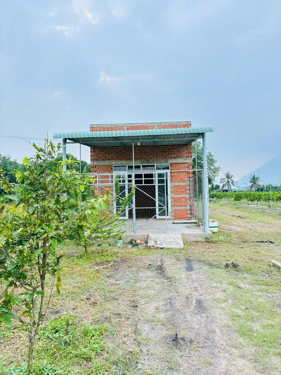 Bán đất Phường Dương Minh Châu, Tây Ninh 250 m², 486 triệu - Ảnh 1