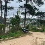 Bán đất Ngô Thì Sỹ, Xuân Hương, Đà Lạt, 90m², 700 triệu - Ảnh thu nhỏ 4