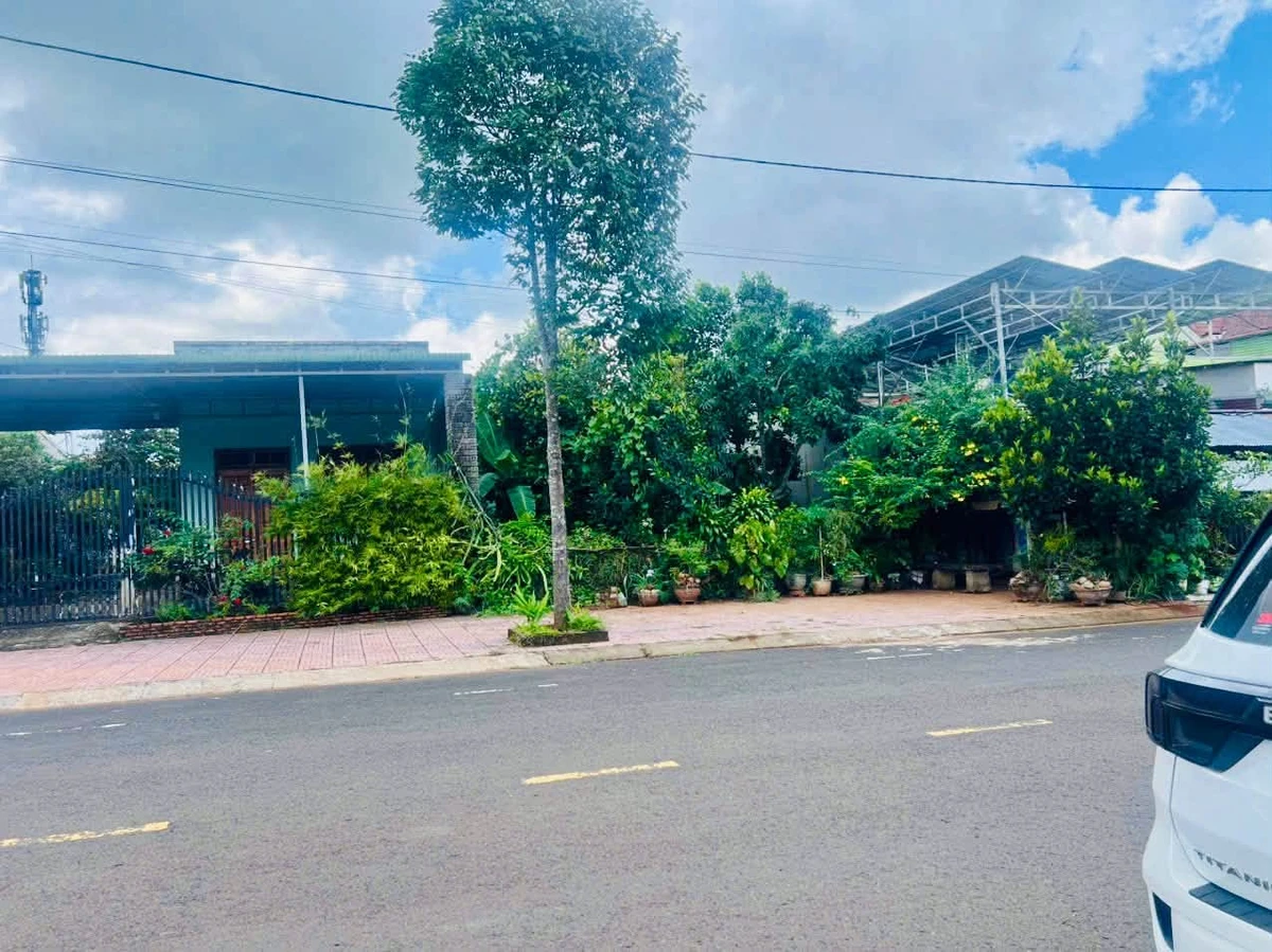 Bán đất thổ cư 12x24m đường Hàm Nghi, TĐC Đắk Nia, phường Đông Gia Nghĩa - Ảnh thu nhỏ 4