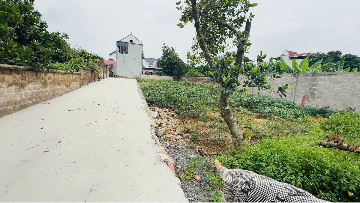 Bán đất 754m2 (117m2 ở) tại xã Xuân Mai Hà Nội - Ảnh thu nhỏ 4