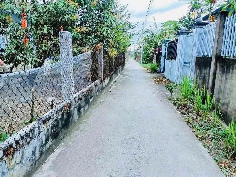 Bán nhà cấp 4 162 m² Ấp Phước Toàn, Bến Lức, Long An - Ảnh 1