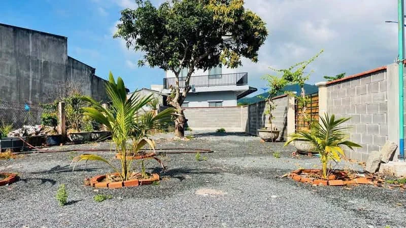 Bán lô góc 178,8m2 mặt tiền đường ven biển Phước Hải, Vũng Tàu - Ảnh thu nhỏ 2