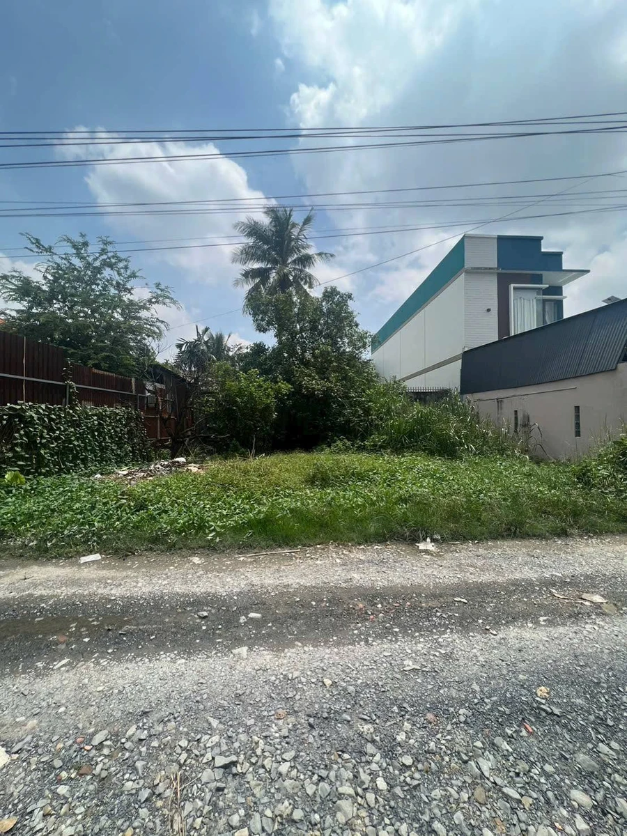 Bán đất thổ cư 6x10m giá 379 triệu gần chùa Tòa Thánh, Ninh Thạnh, Tây Ninh - Ảnh thu nhỏ 2