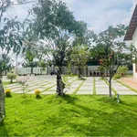 Bán vườn 1.600m² Hàm Chính Bình Thuận 1 tỷ 790 - Ảnh thu nhỏ 2