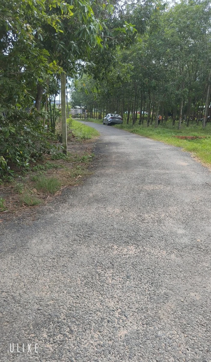 Bán đất Thành Long Châu Thành Tây Ninh 5,7 x 18m (102,6 m²), 340 triệu - Ảnh thu nhỏ 5