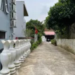 Bán đất tại TP Yên Bái, DT 8033 m2 có 887m thổ cư, giá cực hợp lý 17.5 tỷ - Ảnh thu nhỏ 12