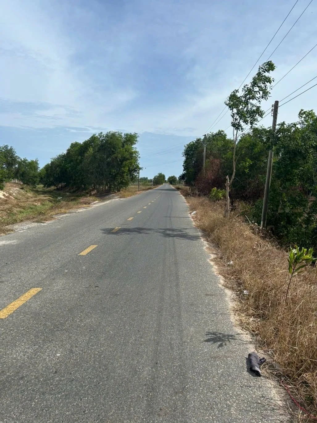 Bán đất Lagi, Bình Thuận, 500m², đường Lê Quang Định 2.5 tỷ - Ảnh 1