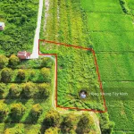 980tr, 1000m2 có thổ cư gần hết đất, gần dự án KCN Hiệp Thạnh, đường bê tông - Ảnh thu nhỏ 15