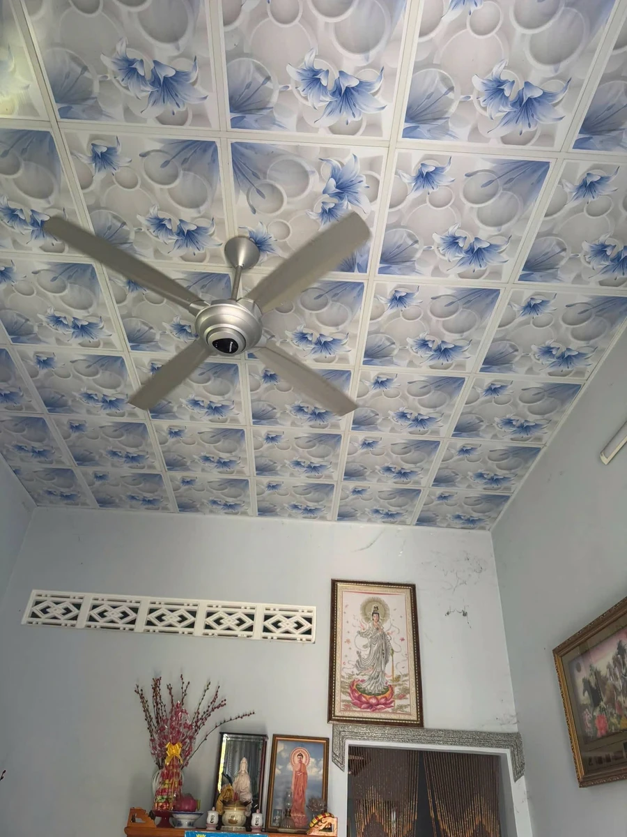 Bán đất thổ cư 200m² Đồng Xoài, Bình Dương 700 triệu - Ảnh thu nhỏ 3