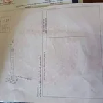 Bán vườn trái cây 250m² Tân Quan Đồng Nai - Ảnh thu nhỏ 4