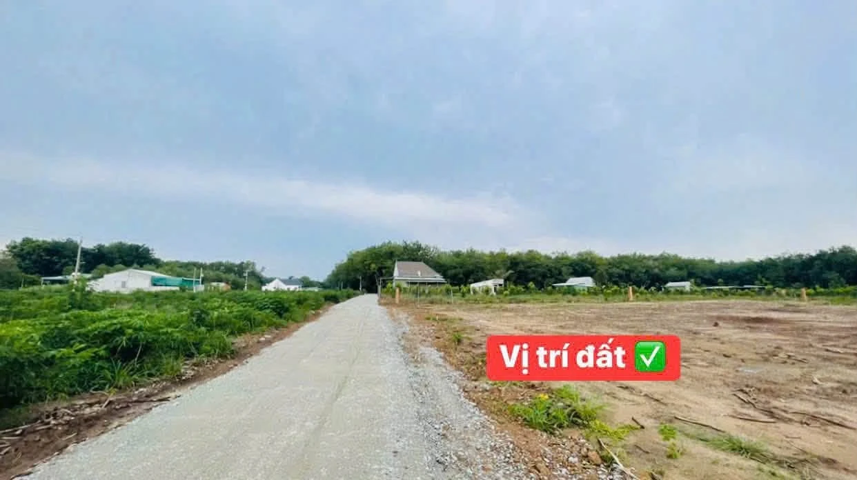 Bán đất Bình Dương 250m² chỉ 299 triệu - Ảnh 1