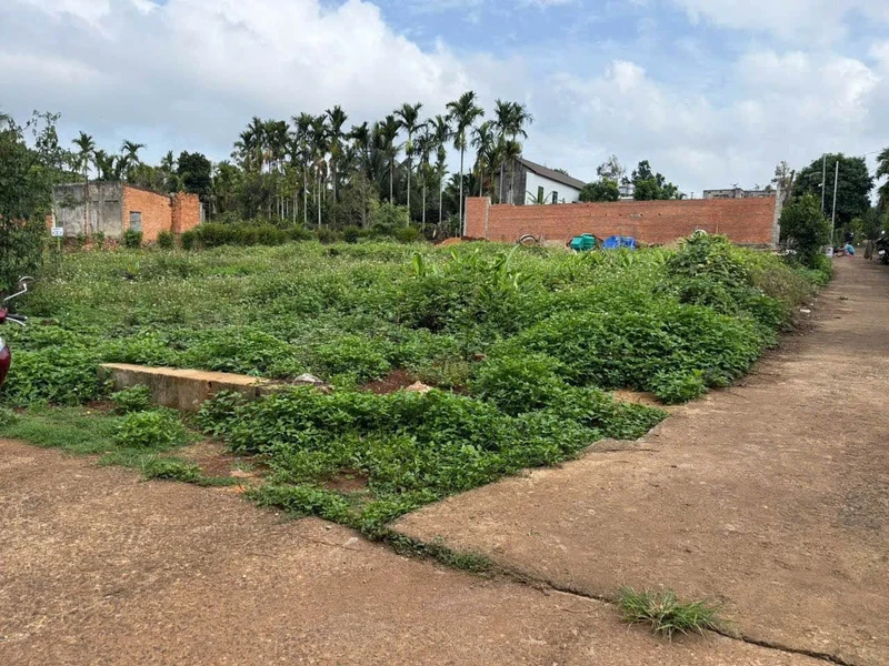 Bán nhà cấp 4 có gác và dãy phòng trọ 100m2 Vũng Tàu thangvilla87