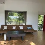 Chủ villa cực đẹp thực sự cần bán gấp 4300m2 Cư Yên Lương Sơn các bác đàm phán thoải mái - Ảnh thu nhỏ 14