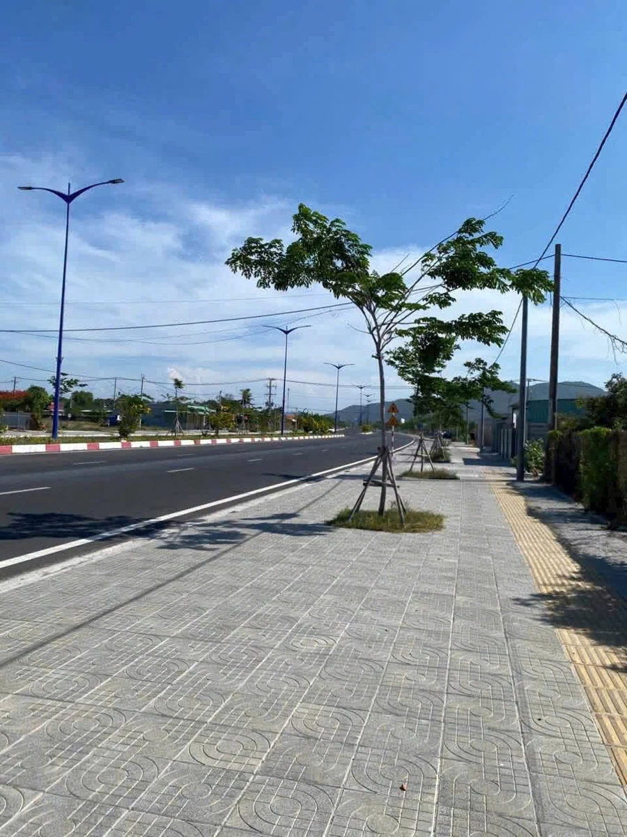Bán đất mặt tiền 442m2 Ven Biển Vũng Tàu Bình Châu - Ảnh thu nhỏ 3