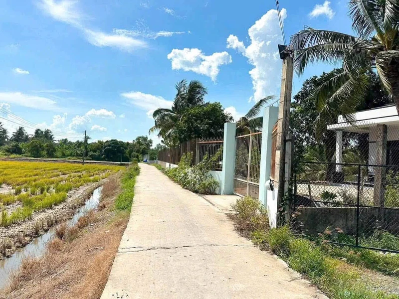 Bán lô đất thổ cư mặt tiền Thủ Thừa, Long An 176 m²