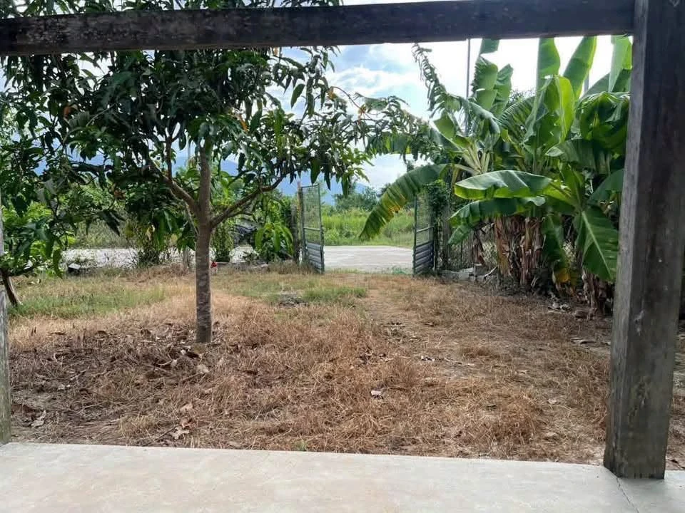 Bán đất Suối Hiệp Diên Khánh 139.4m² 569 triệu - Ảnh thu nhỏ 4