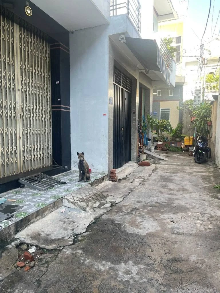Bán nhà 3 tầng 46m2 tại ngã tư Ngô Mây, Quy Nhơn - Ảnh thu nhỏ 2