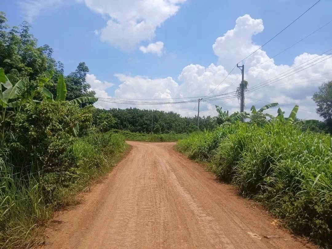 Bán đất Đồng Xoài 3,9 ha - Ảnh 1