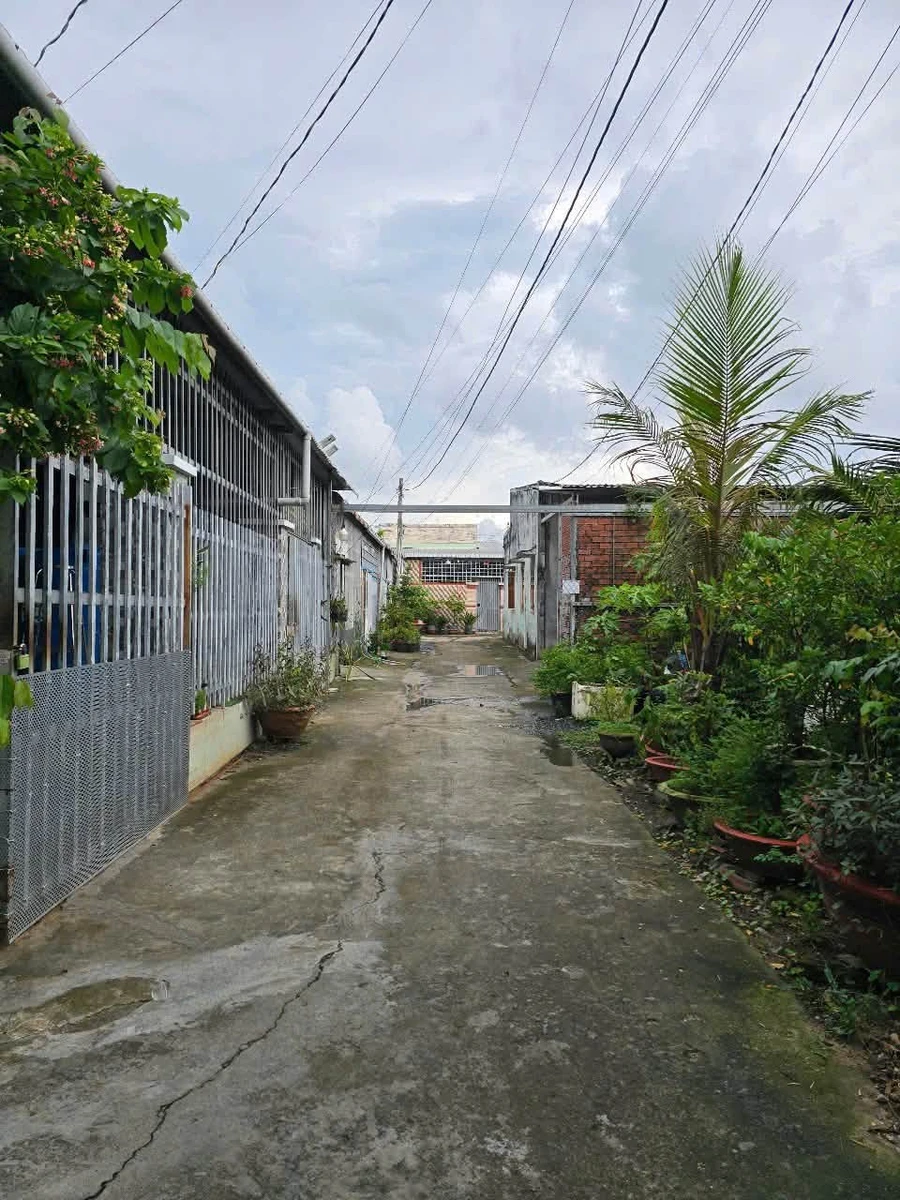 Bán nền đất 158,8m² khu dân cư cầu Phú Dân, Phú Tân, Vĩnh Long - Ảnh thu nhỏ 3