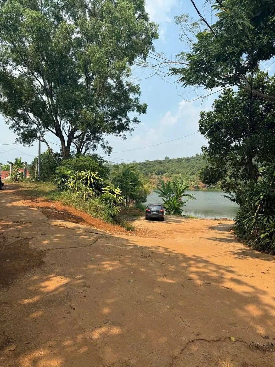 Bán lô đất 300m² Phường Nghĩa Trung, Bình Dương - Ảnh thu nhỏ 3