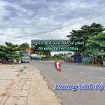 Bán gấp đất vườn Long Thuận, Tây Ninh | 12.654m2 | 16 tỷ đất cao ráo khu dân cư đông đúc - Ảnh thu nhỏ 7