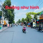 Bán mặt tiền Huỳnh Dân Sanh 300m2, Long Bình - Ảnh thu nhỏ 2