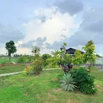 Bán đất vườn sinh thái 1100m² Phường Vĩnh Lợi Bình Tân - Ảnh thu nhỏ 5