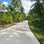 Bán đất 3.860m² gần chợ An Thới, Cần Giờ, giá 2,7 tỷ - Ảnh thu nhỏ 1