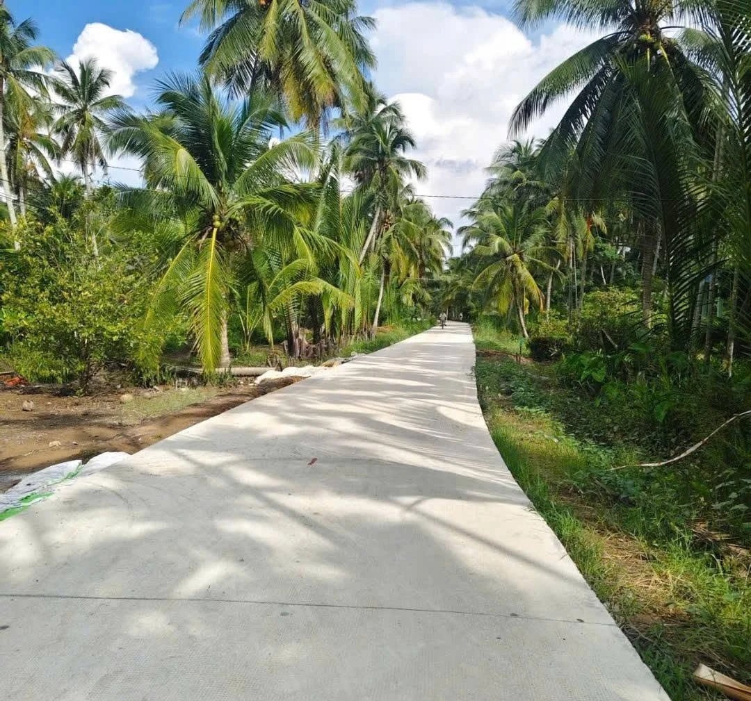 Bán đất 3.860m² gần chợ An Thới, Cần Giờ, giá 2,7 tỷ - Ảnh 1